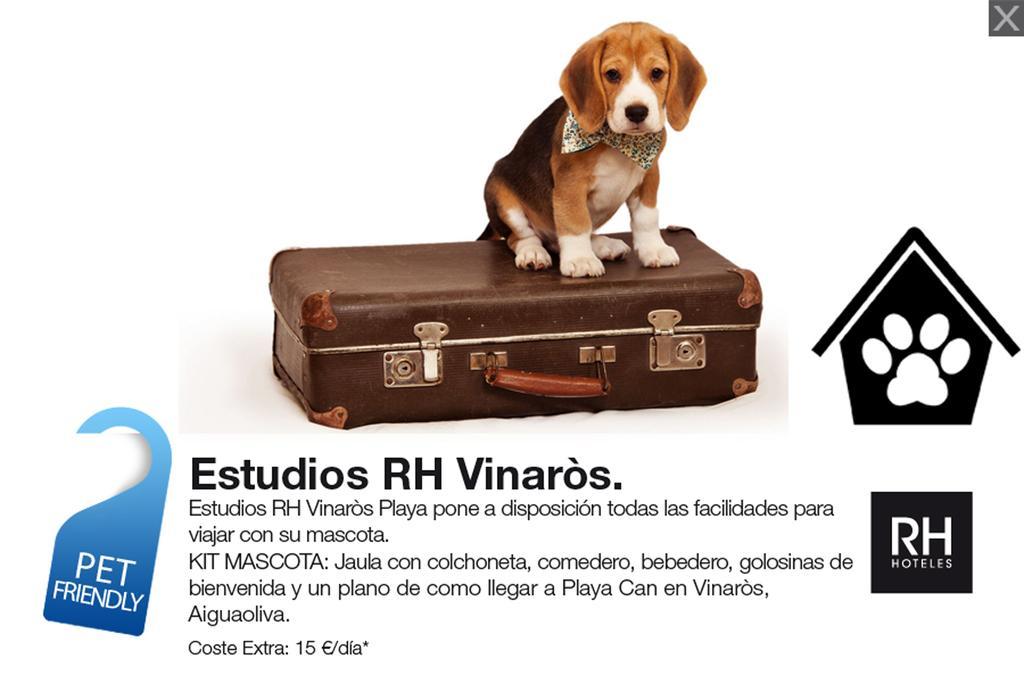 Estudios Rh Vinarós מראה חיצוני תמונה